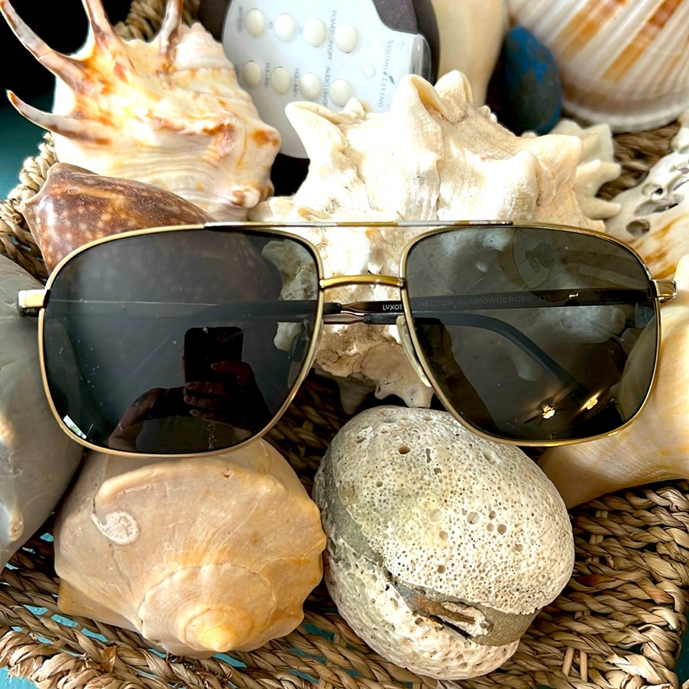 Luxottica Hector Gunpowder Sunglasses